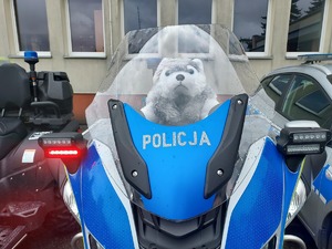 maskotka siedząca na motocyklu policyjnym